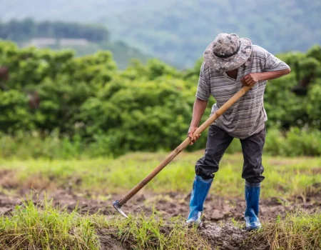 male-farmer-who-is-using-shovel-dig-soil-his-rice-fields-jpg