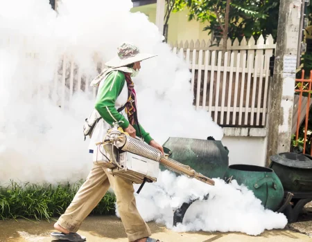 man-is-using-thermal-fog-machine-protect-mosquito-spreading-jpg